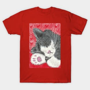 Sleeping kitten cat T-Shirt